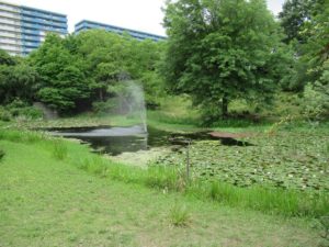 京成バラ園噴水池